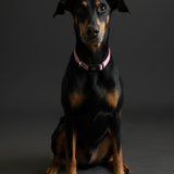 Entry image for Piper