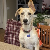 Entry image for Happy 