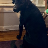 Entry image for Ruthie