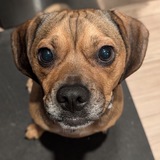 Entry image for Ryuk