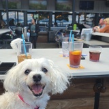 Entry image for Zoey