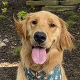 Entry image for Cooper