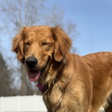 Entry image for Mabel