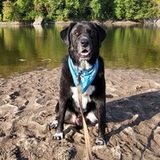 Entry image for Zeus