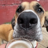 Entry image for Miller