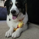 Entry image for Fredricka