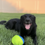 Entry image for Raylan