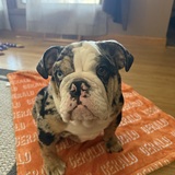 Entry image for Gerald