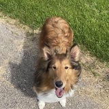 Entry image for Penelope