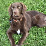 Entry image for Hemi