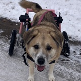 Entry image for Suzzy 