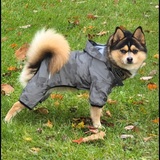 Entry image for ROMEO