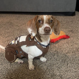 Entry image for Toby