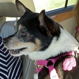 Entry image for Clooney Marie