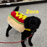 Entry image for Zora