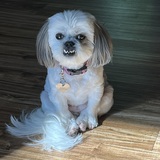 Entry image for Charley