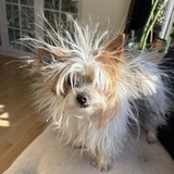 Entry image for Olivia