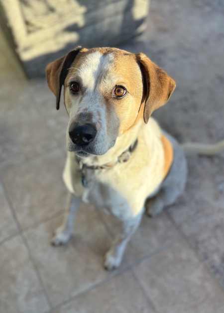 Entry image for Sebastian. Clicking this image will show a larger photo