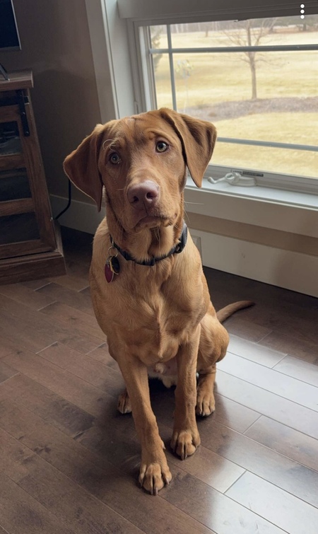 Entry image for Fynn. Clicking this image will show a larger photo