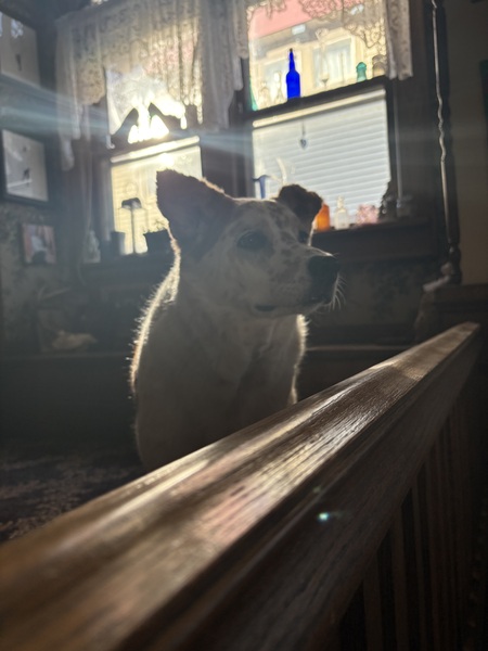 Entry image for Simon. Clicking this image will show a larger photo