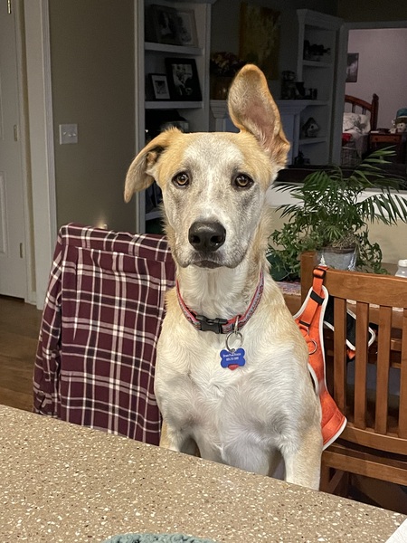 Entry image for Happy . Clicking this image will show a larger photo