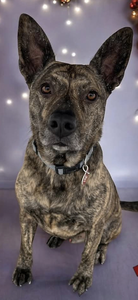 Entry image for Ed. Clicking this image will show a larger photo