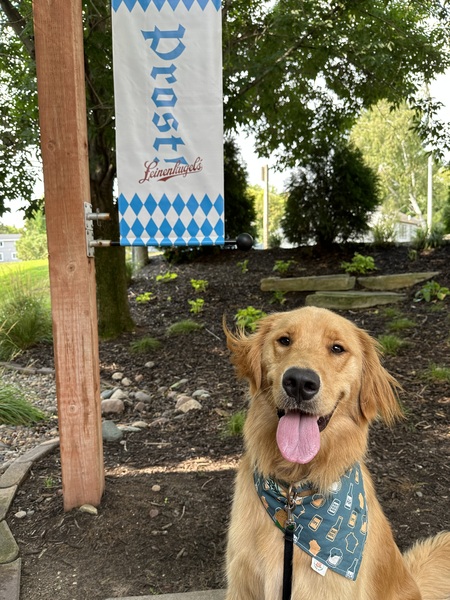 Entry image for Cooper. Clicking this image will show a larger photo