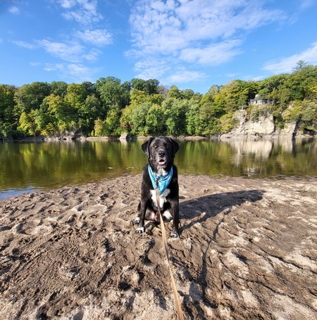 Entry image for Zeus. Clicking this image will show a larger photo