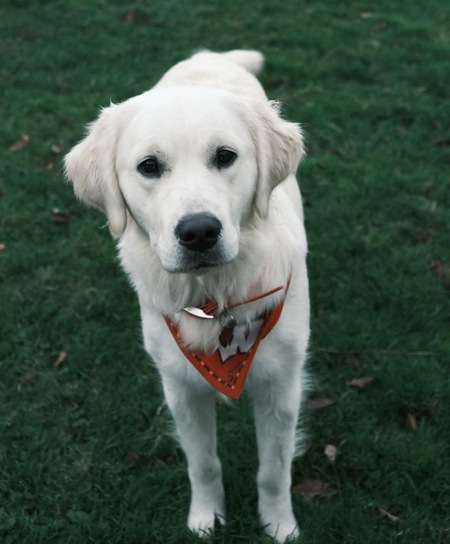 Entry image for Winnie. Clicking this image will show a larger photo