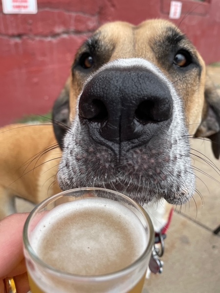 Entry image for Miller. Clicking this image will show a larger photo