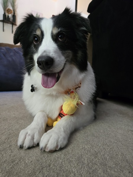 Entry image for Fredricka. Clicking this image will show a larger photo