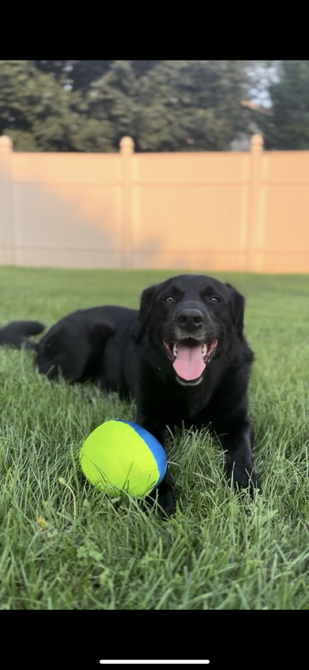 Entry image for Raylan. Clicking this image will show a larger photo