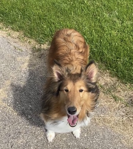 Entry image for Penelope. Clicking this image will show a larger photo