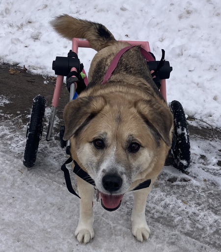 Entry image for Suzzy . Clicking this image will show a larger photo