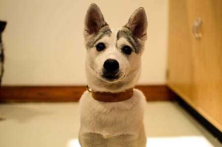 Entry image for Bill. Clicking this image will show a larger photo