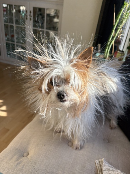 Entry image for Olivia. Clicking this image will show a larger photo