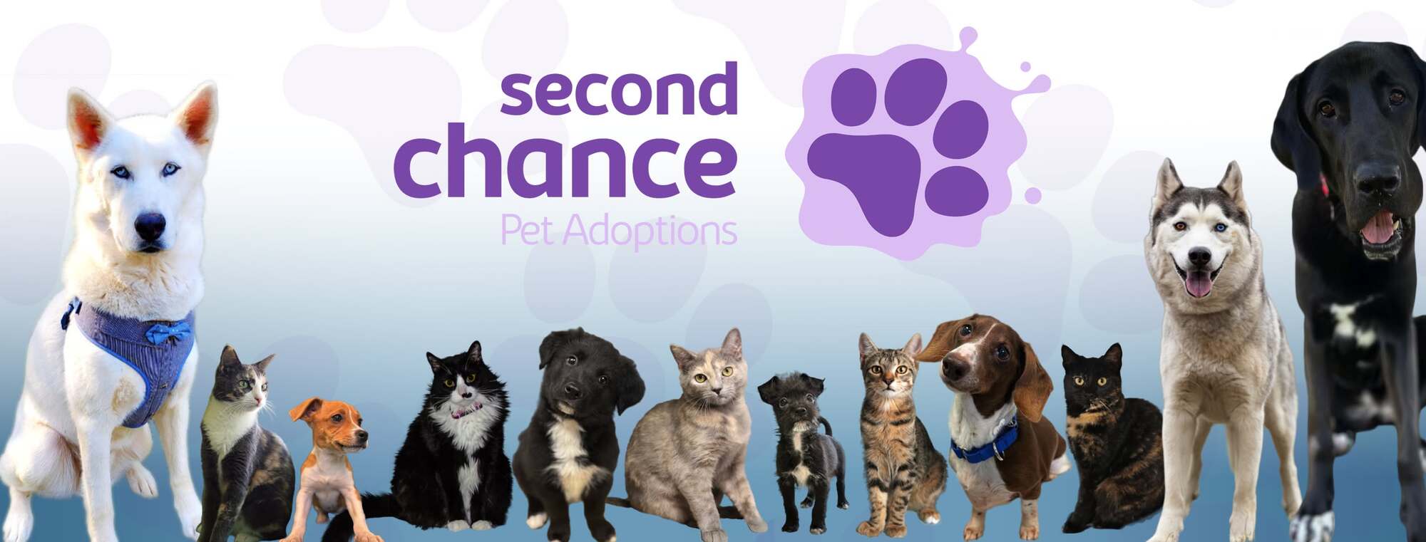 Banner for Rescue Brew 2026