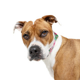 Entry image for Tully