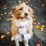Entry image for Byrdie