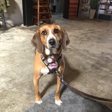 Entry image for Louise (aka Weezie)