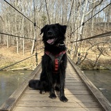 Entry image for Chloe