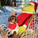 Entry image for Loki