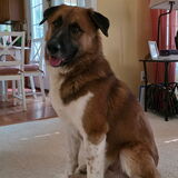 Entry image for Zeke
