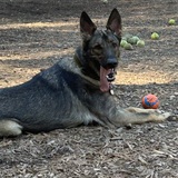 Entry image for Jasper