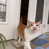 Entry image for Poopy