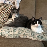 Entry image for Betsy and Beverly 