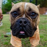 Entry image for Wally