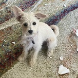 Entry image for Edie