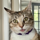 Entry image for Winnie Bell