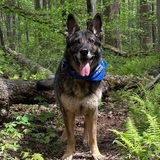 Entry image for Delta